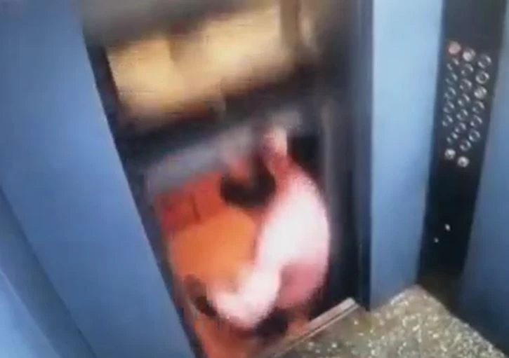 Ảnh cắt từ clip.