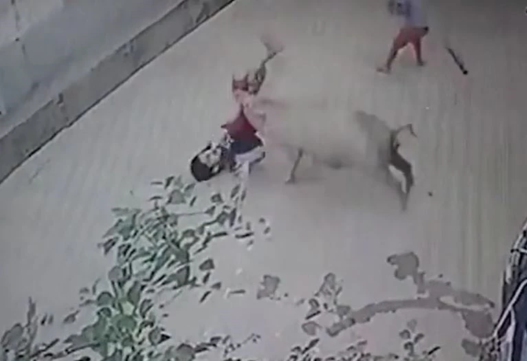 Ảnh cắt từ clip.