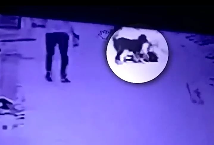 Ảnh cắt từ clip.