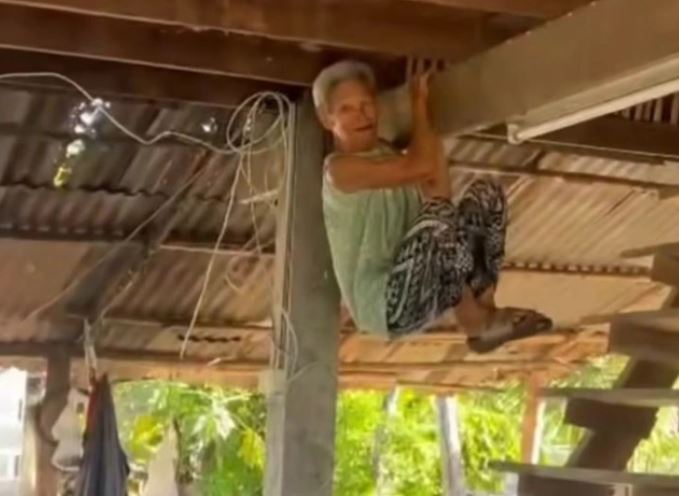 Rắn bò vào sân, cụ bà đu mình lên xà nhà để tránh nguy hiểm