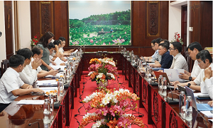 EVN làm việc với UBND tỉnh Tây Ninh gỡ vướng công tác đầu tư, bảo đảm cung ứng điện năm 2026 

