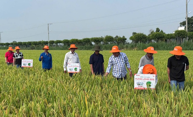 Cần Thơ: Xã Trường Thành thúc đẩy người dân, doanh nghiệp phát triển kinh tế nông nghiệp bền vững