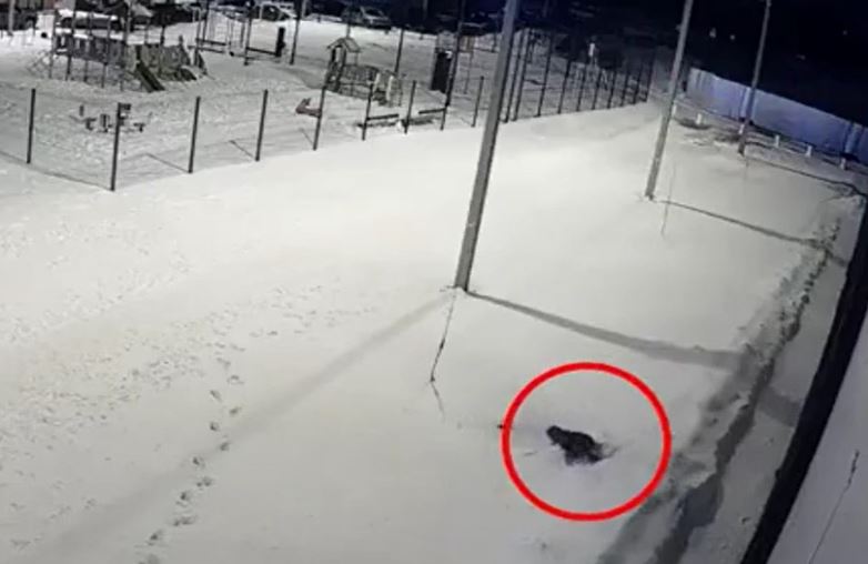 Bé trai 5 tuổi rơi từ tầng 12 xuống tuyết vẫn sống sót kỳ diệu