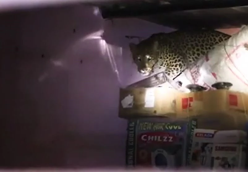 Ảnh cắt từ clip.