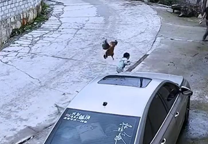 Gà trống 'tung đòn hiểm' tấn công bé trai và màn 'ứng cứu' gây cười của người chú 