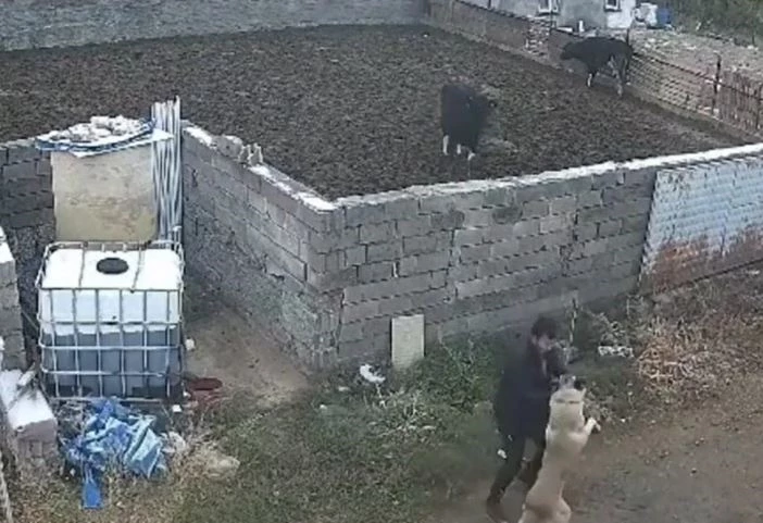 Ảnh cắt từ clip.