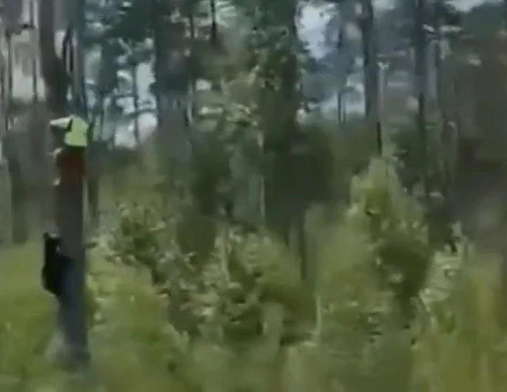 Ảnh cắt từ clip.