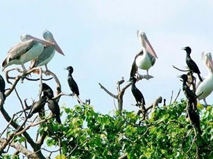 Vườn chim Bạc Liêu sẵn sàng công tác phòng cháy chữa cháy