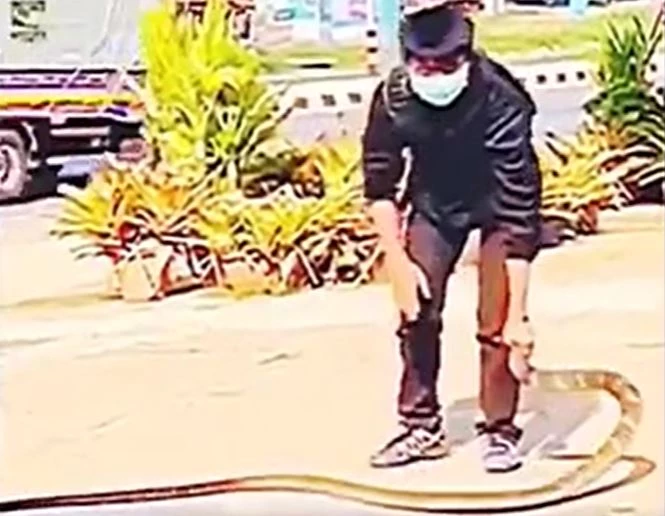 Ảnh cắt từ clip.