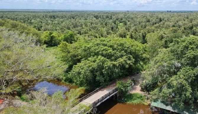 Toàn cảnh vườn chim Bạc Liêu (phường Hiệp Thành, tỉnh Cà Mau).