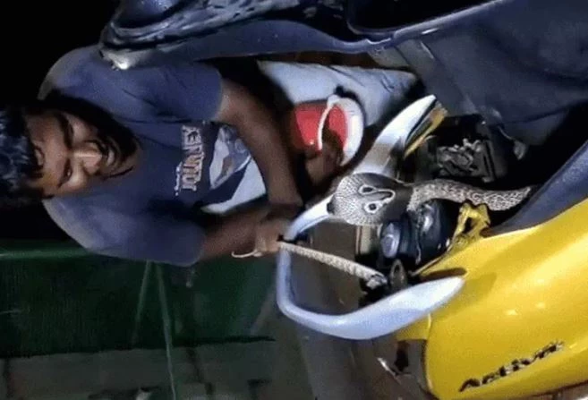 Ảnh cắt từ clip.