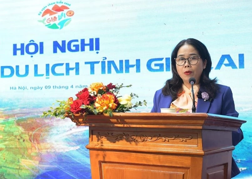bà Đỗ Thị Diệu Hạnh – Giám đốc Sở Văn hóa, Thể thao và Du lịch tỉnh Gia Lai, phát biểu tại hội nghị. 