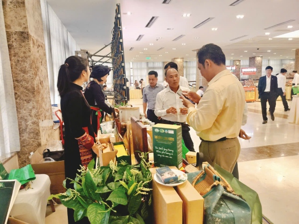 Hợp tác xã cần rũ bỏ 'chiếc áo' quản lý gia đình', vận hành như doanh nghiệp thực thụ