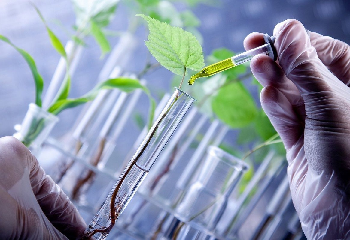 Ứng dụng công nghệ sinh học: Hướng đi bền vững từ tài nguyên bản địa