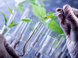 Ứng dụng công nghệ sinh học: Hướng đi bền vững từ tài nguyên bản địa