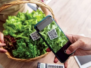 TP Hồ Chí Minh xây dựng cổng dữ liệu sản phẩm thu hồi toàn cầu, siết quản lý hàng nhập khẩu