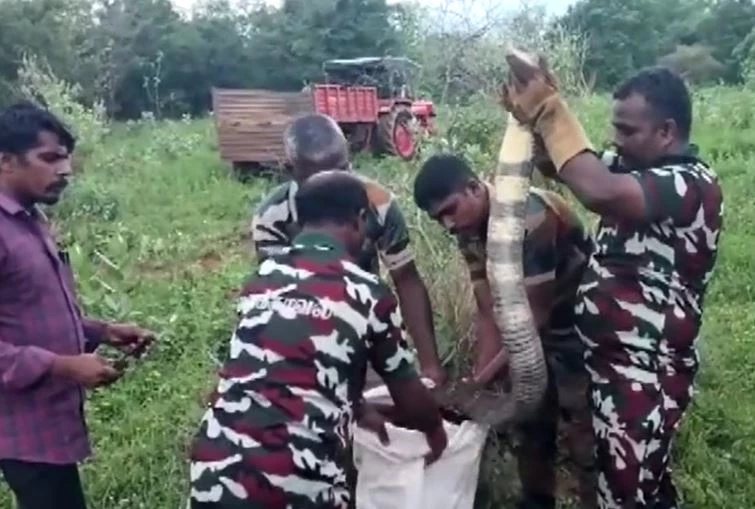 Ảnh cắt từ clip.