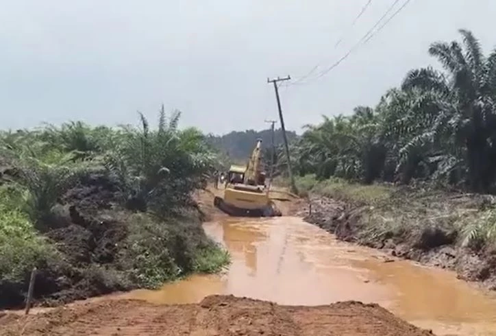 Ảnh cắt từ clip.