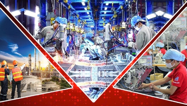 Đo đúng 'sức khỏe' doanh nghiệp tư nhân để đưa ra chính sách phù hợp