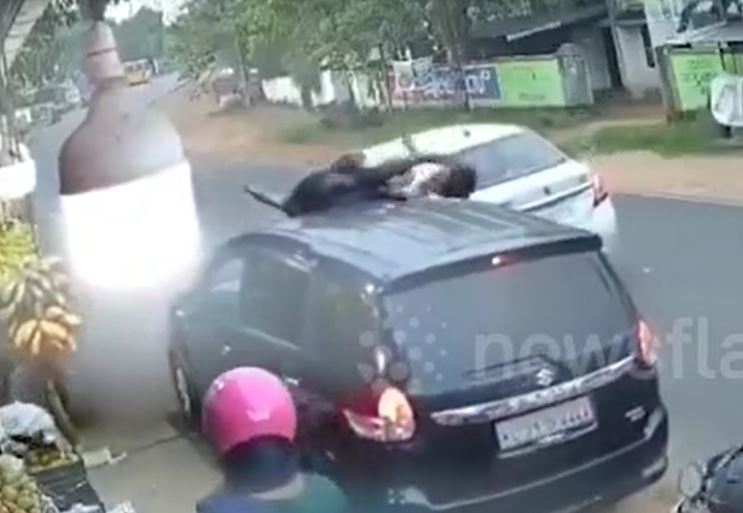 Phóng nhanh như 'tên bắn', xe máy tông trực diện ô tô, 2 người văng lên nóc xe