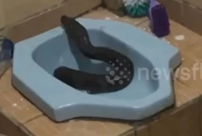 Ảnh cắt từ clip.