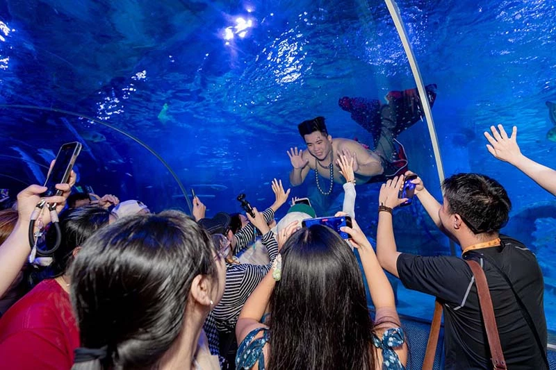 Chàng “tiên cá b&eacute;o”mang đến trải nghiệm tương tác thú vị cho du khách