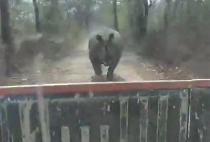 Ảnh cắt từ clip.