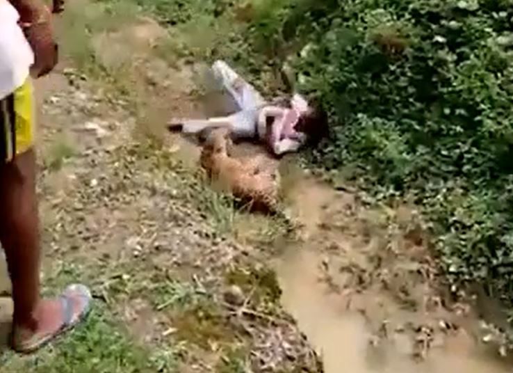 Tiếp cận báo hoa mai bị thương để chụp ảnh, người đàn ông suýt trả giá bằng mạng sống