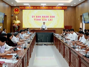 Gia Lai đẩy mạnh phát triển lực lượng doanh nghiệp tiên phong