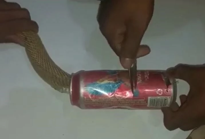 Ảnh cắt từ clip.