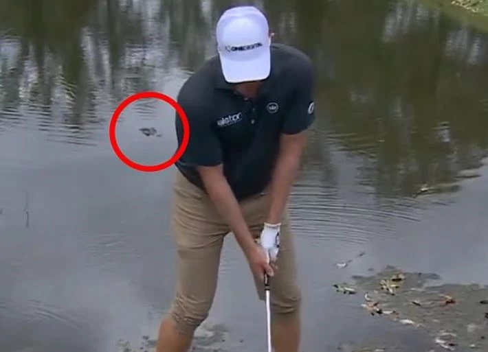 Ảnh cắt từ clip.