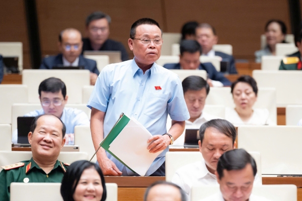 Đại biểu Quốc hội: Muốn kinh tế mạnh phải giao việc lớn cho doanh nghiệp mạnh