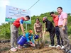 Quảng Ngãi: Trồng 6.000 cây xanh tại thảo nguyên Bùi Hui