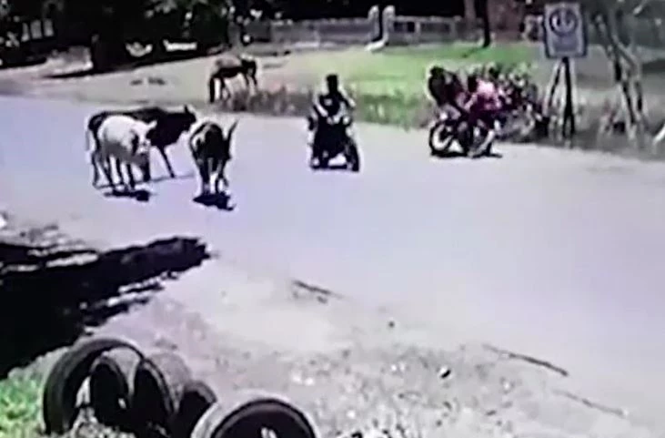 Ảnh cắt từ clip.