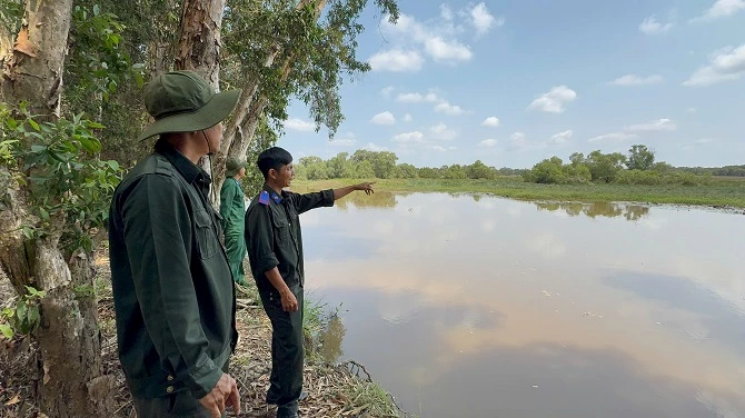 +ảnh 1: Lực lượng bảo vệ cơ động thuộc Phòng quản lý bảo vệ Phòng cháy chữa cháy rừng – Vườn Quốc gia Tràm Chim đang tuần tra. (Ảnh: An Xuyên).