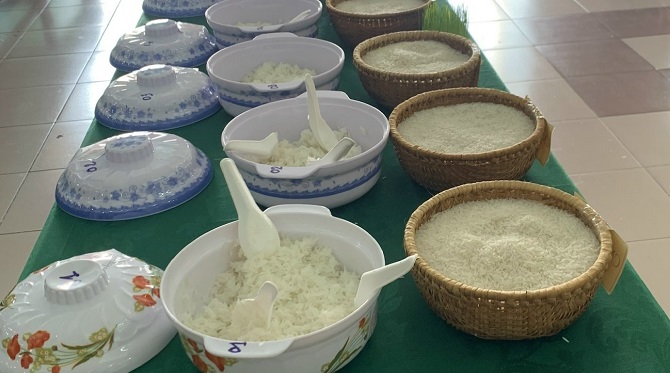 Gạo Việt không thể chỉ mạnh sản lượng, phải thắng bằng giá trị cao