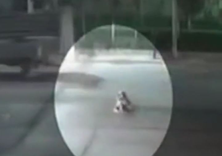 Người phụ nữ bị chó Ngao Tây Tạng tấn công giữa phố và màn giải cứu gay cấn