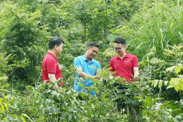 Tín dụng xanh tăng nhanh nhưng chưa đủ lực tạo chuyển biến lớn cho dòng vốn