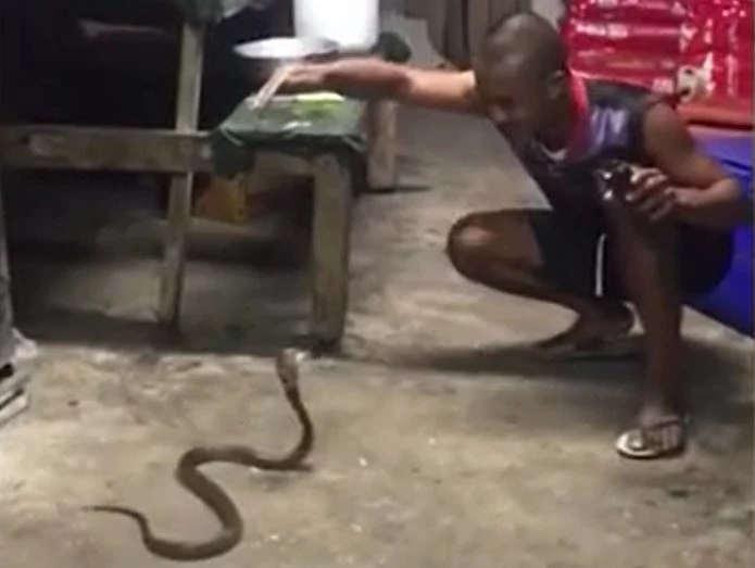 Ảnh cắt từ clip.