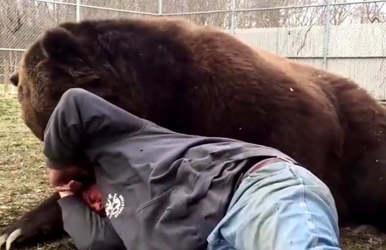 Gấu khổng lồ cắn vào đầu người đàn ông và sự thật gây xúc động phía sau
