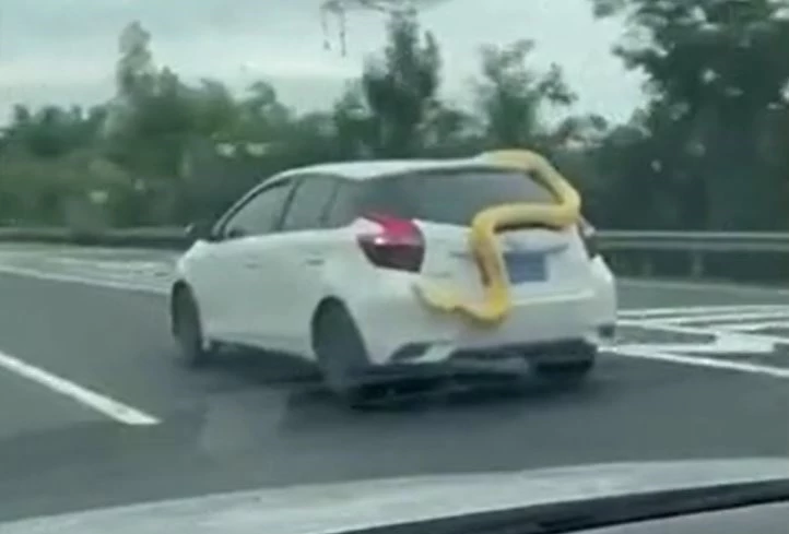 Ảnh cắt từ clip.