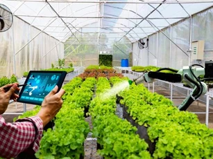 Hà Nội đặt cược vào công nghệ sinh học cho nông nghiệp tương lai