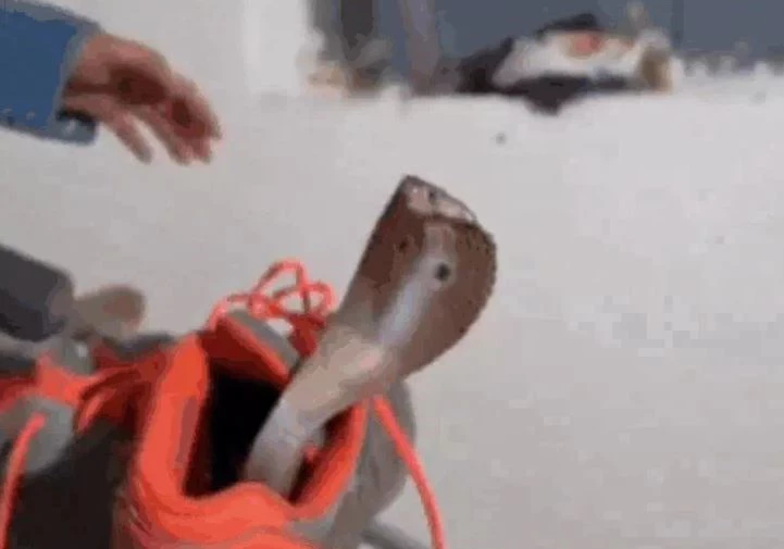 Ảnh cắt từ clip.