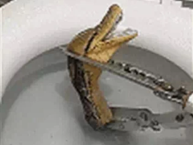 Ảnh cắt từ clip.