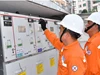 Điện lực miền Nam đảm bảo cung ứng điện an toàn với hơn 11.000 ca trực dịp Giỗ Tổ và 30/4 - 1/5