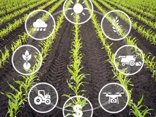 Hà Nội thúc đẩy IoT trong nông nghiệp, hướng tới sản xuất thông minh