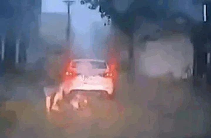 Ảnh cắt từ clip.