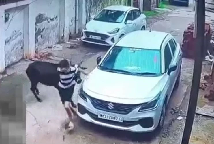 Ảnh cắt từ clip.