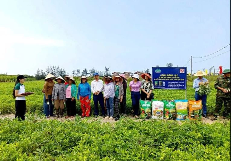 Cán bộ kỹ thuật của doanh nghiệp tập huấn sản xuất lạc hữu cơ cho nông dân xã Vĩnh Hoàng. Ảnh: Báo Quảng Trị.