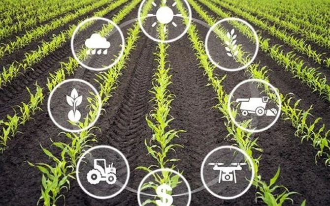 Hà Nội đẩy mạnh ứng dụng IoT trong nông nghiệp thông minh. Ảnh minh họa.